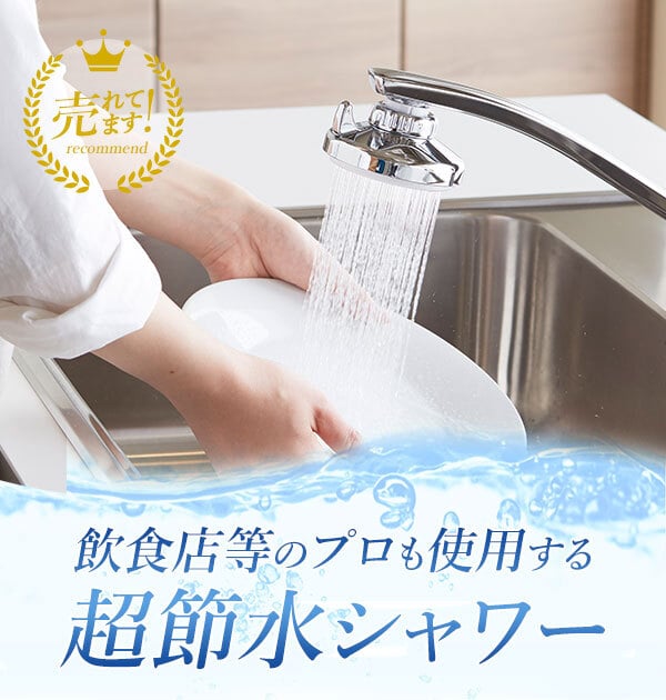 シャワー蛇口 クリタック KURITA 通販 クリシャワー プロ DX キッチンシャワー 節水 シャワー ストレート 切り替え 業務用 蛇口直結型 本体 大型シャワー 水栓 水道 レバー 水道蛇口 自在水栓 ネジ式泡沫水栓 シャワーヘッド