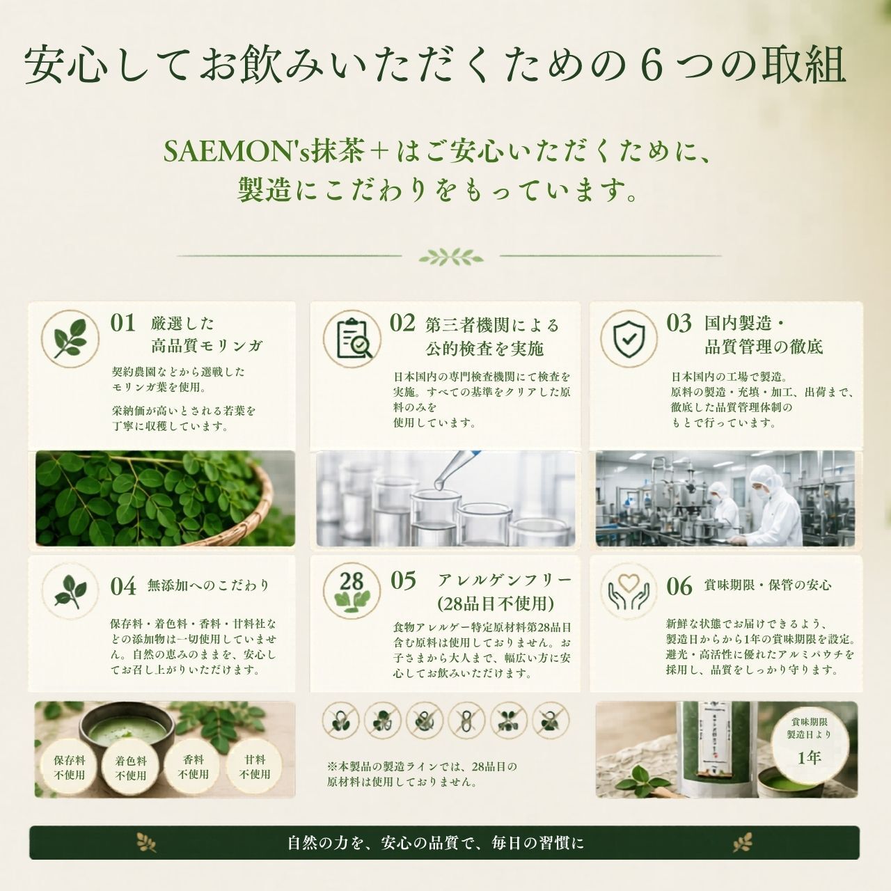 【モリンガ×抹茶】SAEMON's モリンガ抹茶プラス 200g スーパーフード モリンガ 粉末 国産抹茶 90種以上の栄養素 GABA ポリフェノール 食物繊維 美容 健康 朝食置き換え プロテイン スムージー ギフト