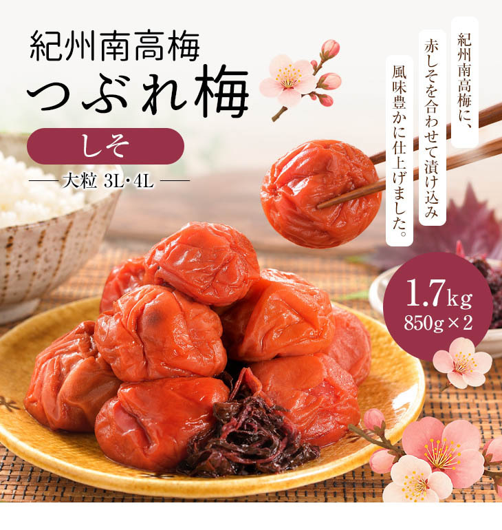 梅干し 紀州南高梅 つぶれ梅 1.7kg 850g×2パック 塩分約3% 減塩 しそ漬け 和歌山県産 赤しそ 紫蘇漬け 大粒 訳あり 紀州 お徳用 果肉たっぷり ご飯のお供 ギフト