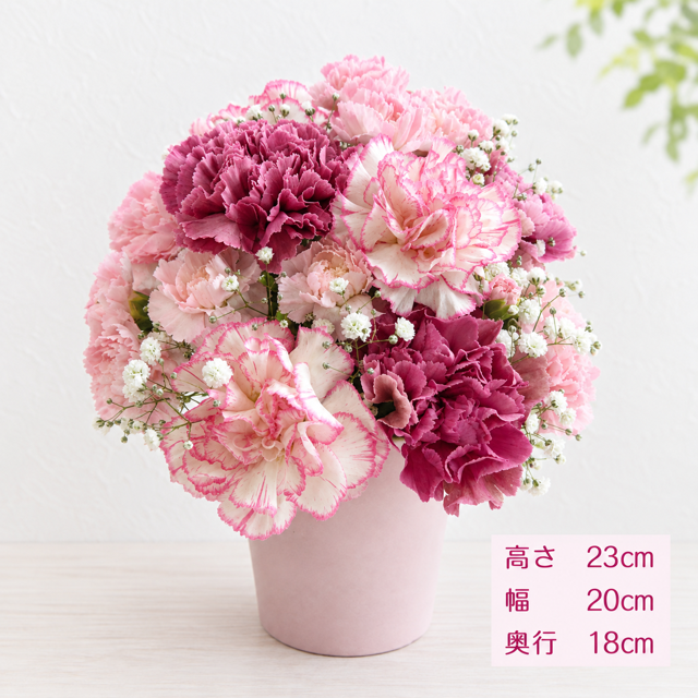 ご希望の色合いで選べる フラワータンブラーアレンジ 高さ23cm 生花 アレンジメント 花ギフト フラワーギフト お祝い 誕生日 記念日 お供え お悔やみ そのまま飾れる 手作り 鮮度重視 送料別途【北海道・沖縄・九州・四国・中国・離島は配送不可】