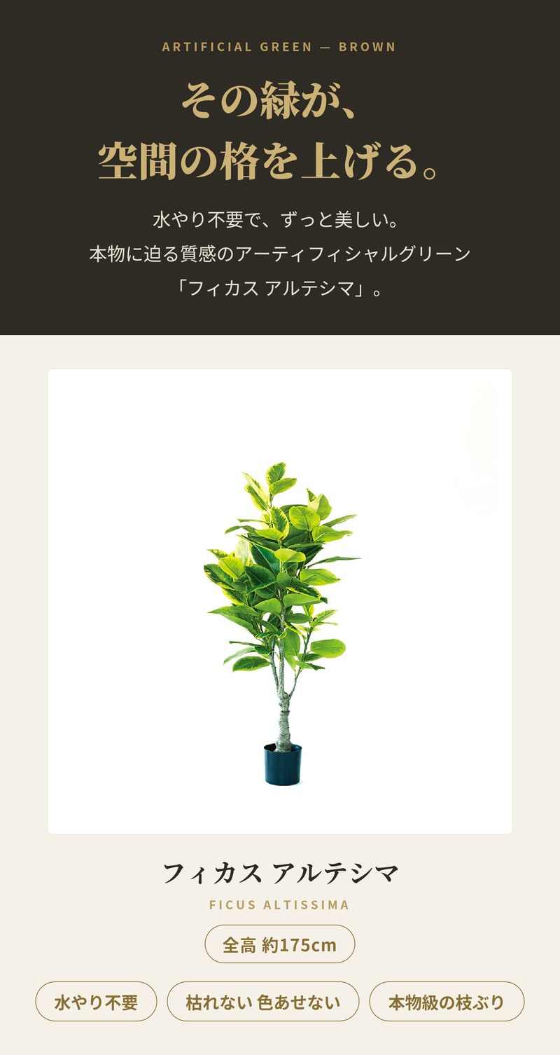 観葉植物 造花 フィカス アルテシマ BROWN 全高約175cm 大型 斑入り フェイクグリーン 高級 本物そっくり リアル おしゃれ インテリア 人工観葉植物 アーティフィシャルグリーン オフィス 店舗 ホテル 開店祝い 室内 リビング 玄関 風水 ゴムの木 アルテシーマ