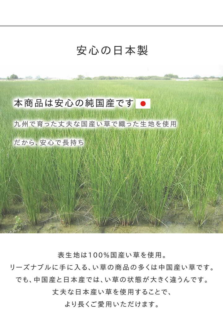 夏ラグ 夏用カーペット い草ラグ おしゃれ 国産 カーペット 『Fウォール』 約140×200cｍ