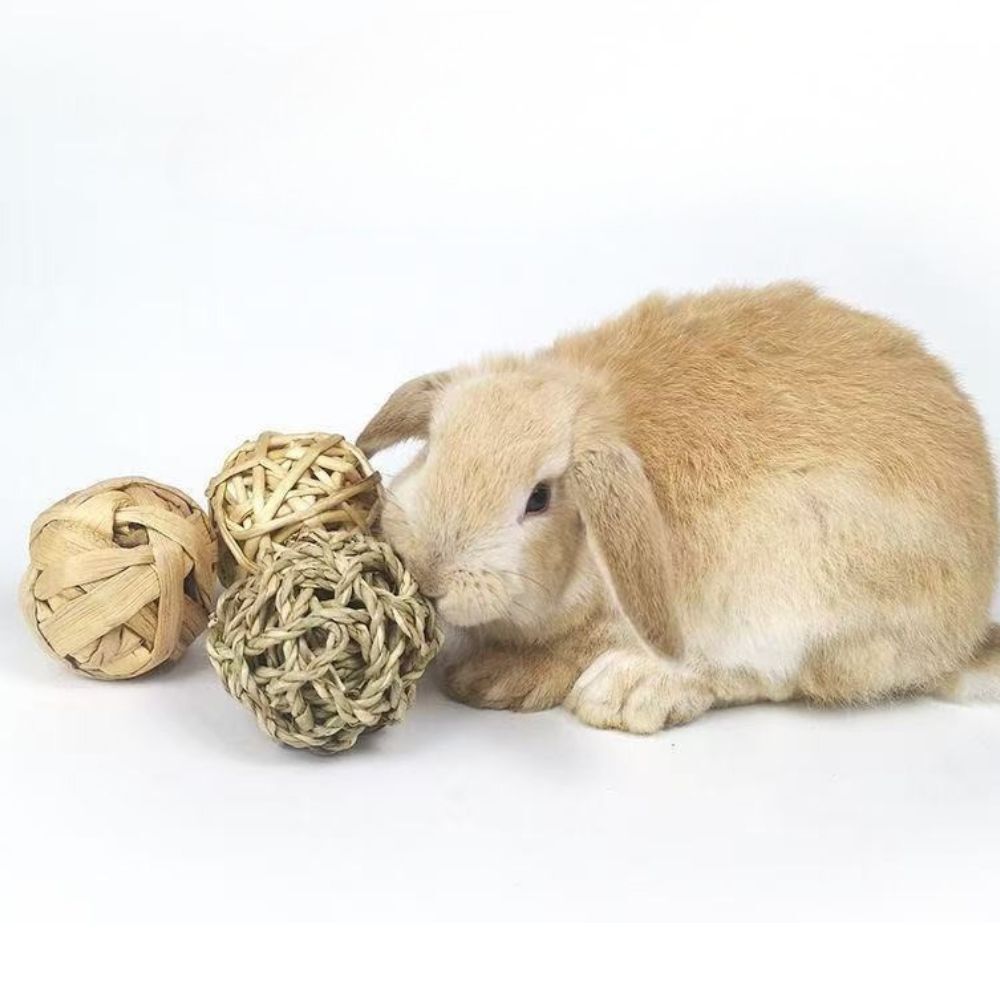 うさぎ かじりボール 4個セット 直径約7cm かじり木 おもちゃ 天然素材 ボール 歯磨き デンタルケア ストレス解消 小動物 ペット おもちゃ モルモット チンチラ ハムスター うさぎ用品