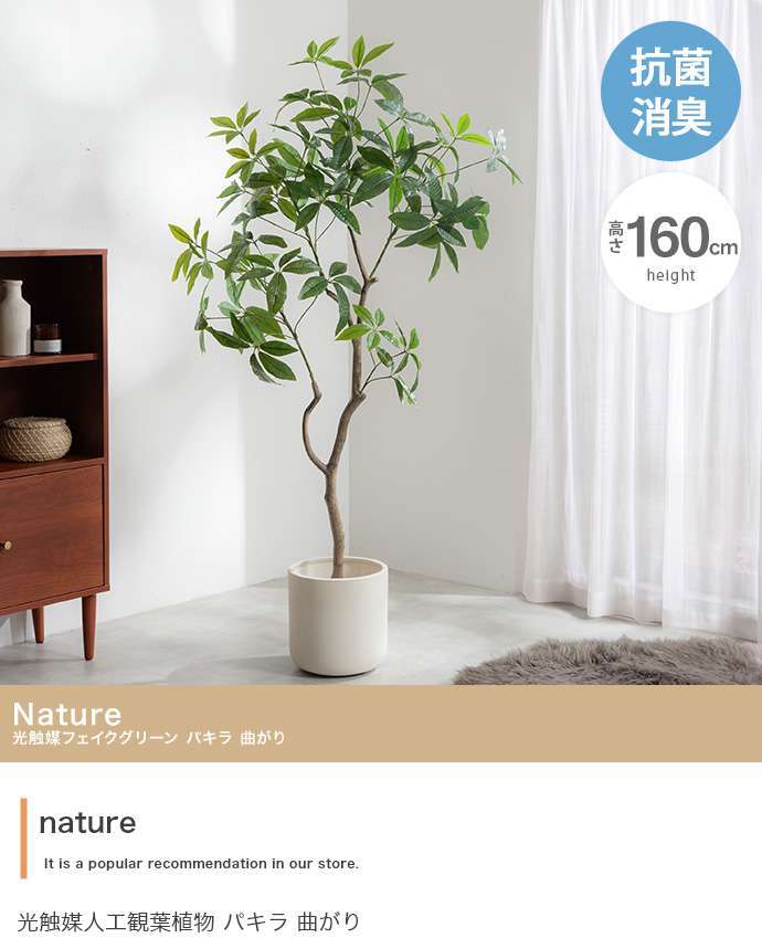 【高さ160cm】光触媒人工観葉植物 パキラ 曲がり 幅72cm×奥行50cm×高さ160cm オフィス 天然木 組立品 お部屋に気軽に飾れて空間を美しく彩るフェイクグリーン 本物の植物のようなリアルな質感とインテリアに馴染む風合いが魅力です
