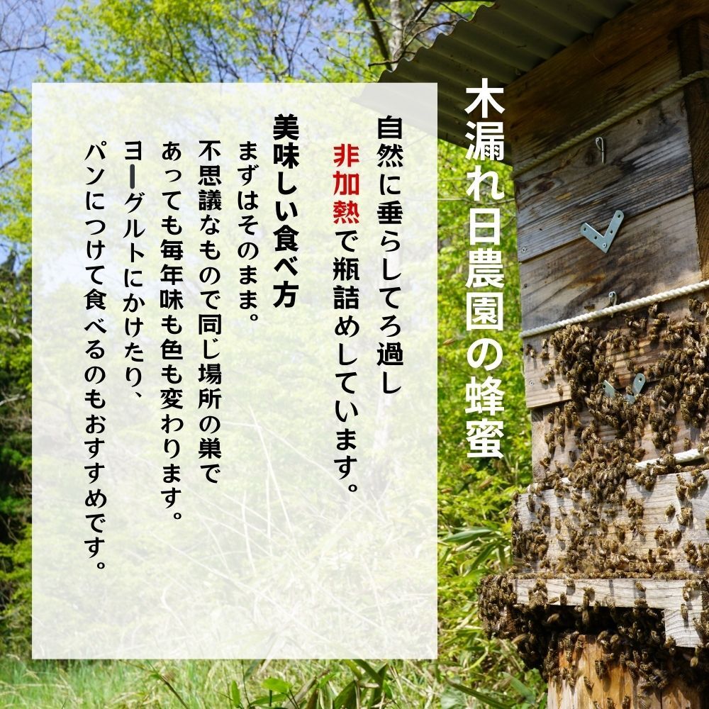 送料無料【数量限定！】 日本ミツバチ はちみつ 宮城県産 非加熱 生はちみつ 百花蜂蜜 百花蜜 希少 ニホンミツバチ にほんみつばち 国産