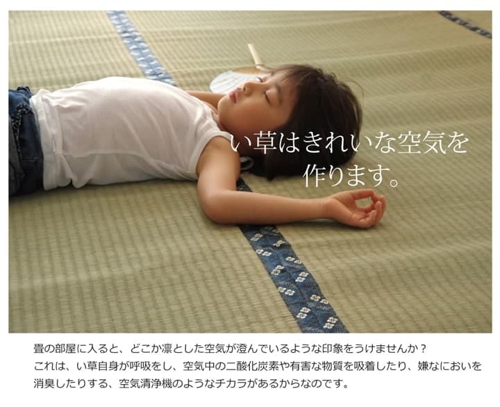 夏ラグ 夏用カーペット 純国産 い草 上敷き カーペット 糸引織 『梅花』 六一間2畳(約185×185cm）