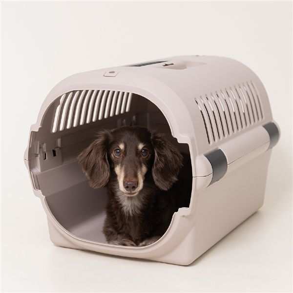 リッチェル キャンピングキャリー ファインR M アイボリー ペットキャリー ハード 犬 猫 キャリーケース クレート ペットハウス 車載 シートベルト固定 移動 避難 日本製