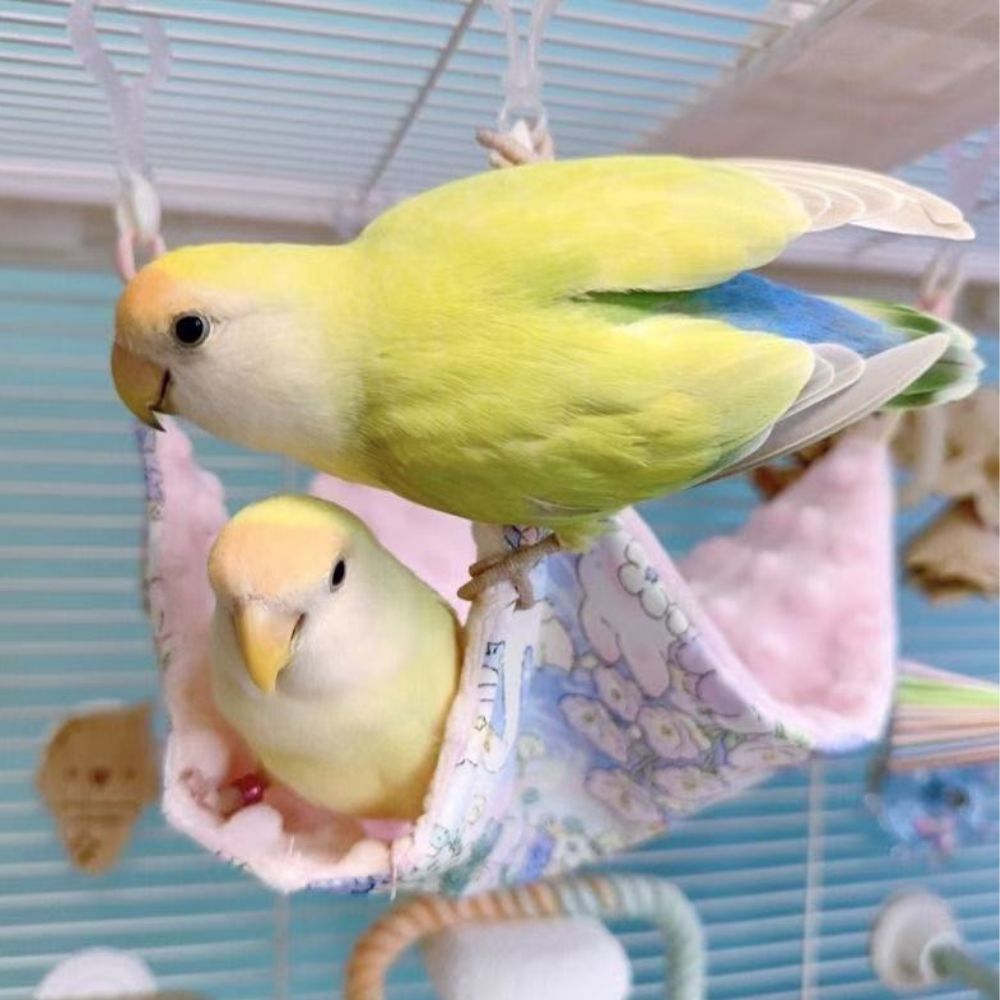 小鳥 ハンモック 夏用 接触冷感 バードハンモック 小鳥用 ベッド 小動物 ハンモック インコ 文鳥 コザクラインコ ボタンインコ オカメインコ ケージ 吊り床 ペット用品