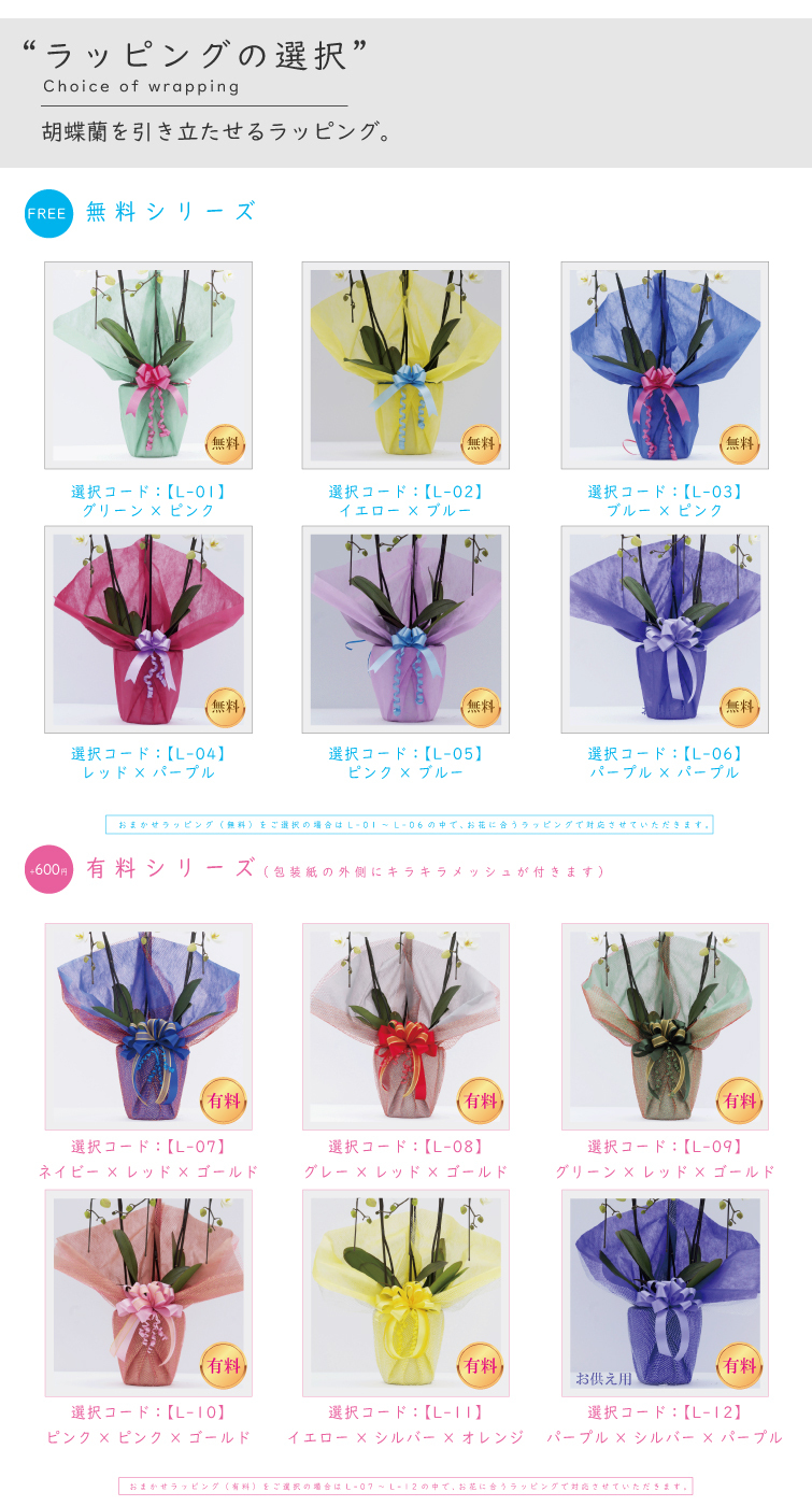 希少 純国産 胡蝶蘭 花持ち長い 大輪 3本立ち 33輪～ 23,800円【煌華(きらか)】 黄色 画像配信あり 産地直送 お祝い 母の日ギフト 縁起良い 商売繁盛 長寿祝 開店祝 開業祝 移転祝 就任祝 昇進祝 当選祝 当日発送 日本橋 銀座 王立園芸協会登録商品