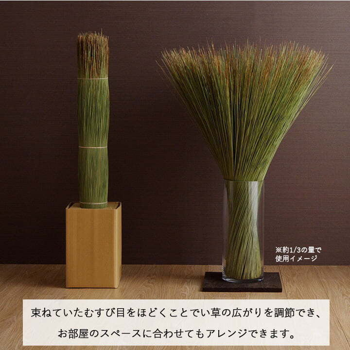 国産 日本製 い草 インテリア オブジェ 消臭 空気清浄 ナチュラル 植物 置物 95×10cm