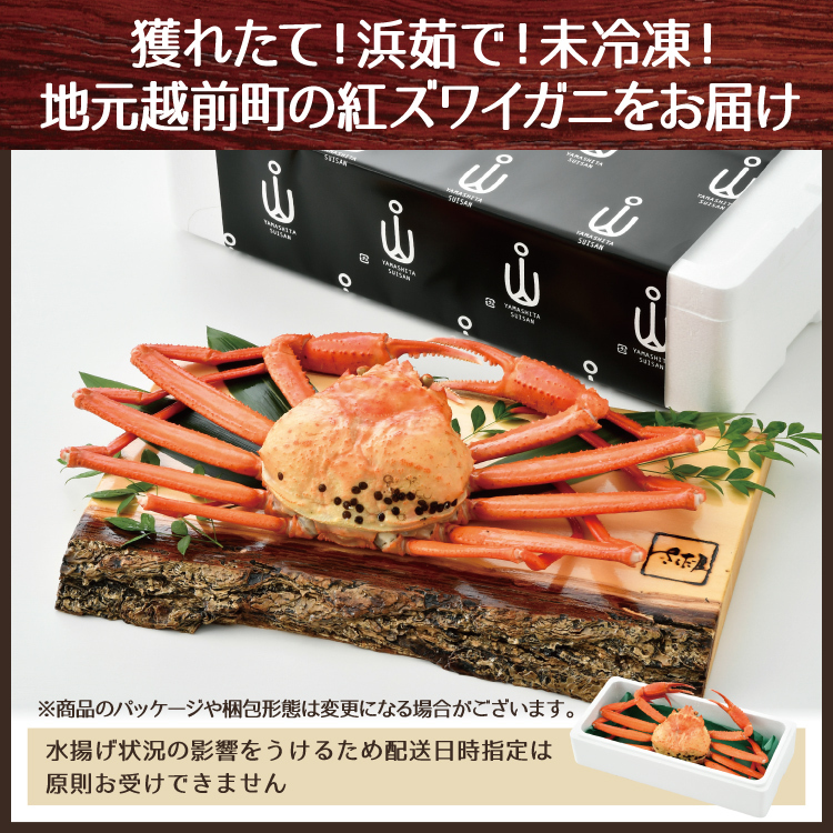 【訳あり】越前港水揚げ 茹で紅ズワイガニ姿 3杯～7杯（1杯あたり200～300g）美味しい贈物 敬老の日 お歳暮 ギフト