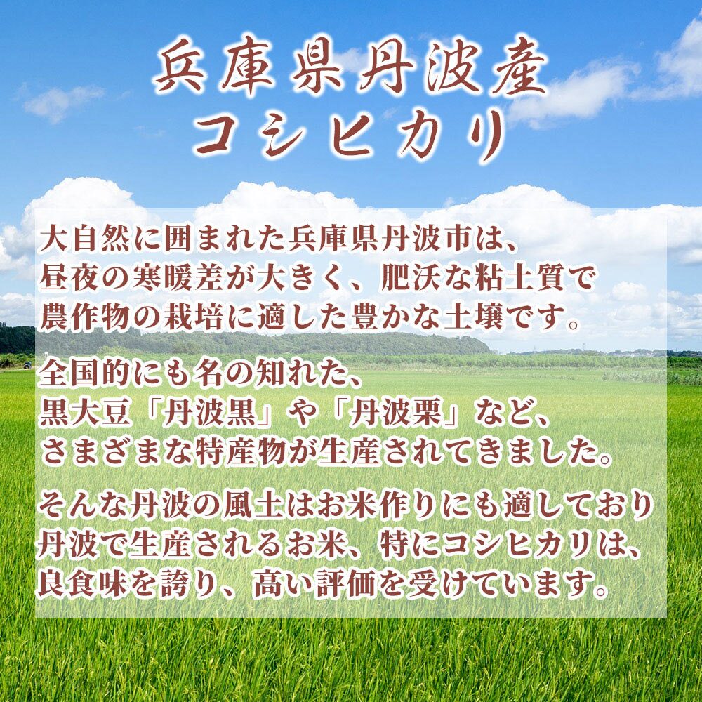 丹波産 コシヒカリ【白米/無洗米/特別栽培米と内容量が選べる5kg~30kg】雑穀米本舗  選べる 白米 特別栽培米 令和8年産 単一原料米 送料無料 精米工場からの直送品