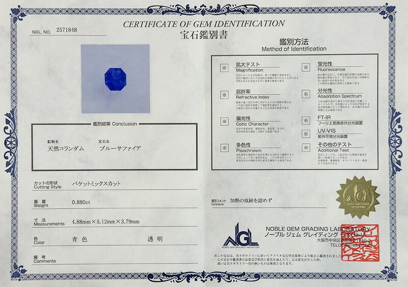  ブルーサファイア 　０．８８ct 　ダイヤモンド　ネックレス 　ペンダント プラチナネックレス Pt900　ネックレス レディース 一粒ネックレス  誕生石 シンプル Drops