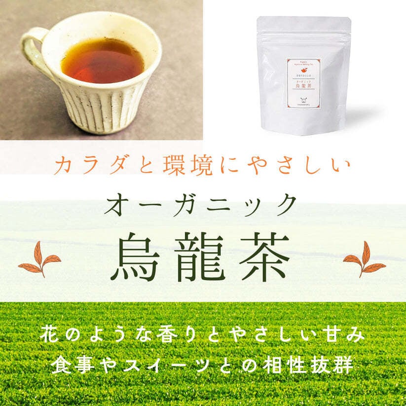 有機JAS オーガニックティー ティーバッグ4種 アソートセット｜日本茶 お茶 緑茶 有機茶 飲み比べ 詰め合わせ ギフト 贈答用 お歳暮 お年賀 クリスマス 誕生日 プレゼント
