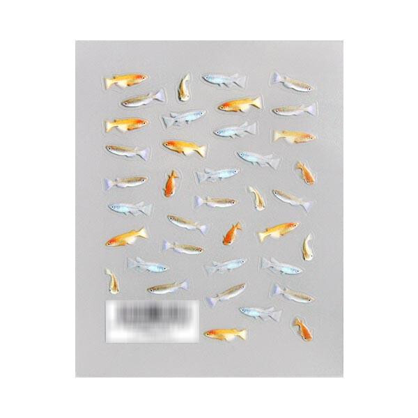 ハーバリウム シール メダカ 両面印刷 アクアリウム風 ハンドメイド 材料 封入パーツ 透明フィルム 花材 制作 手作り キット 魚 観賞魚 水槽 インテリア 雑貨