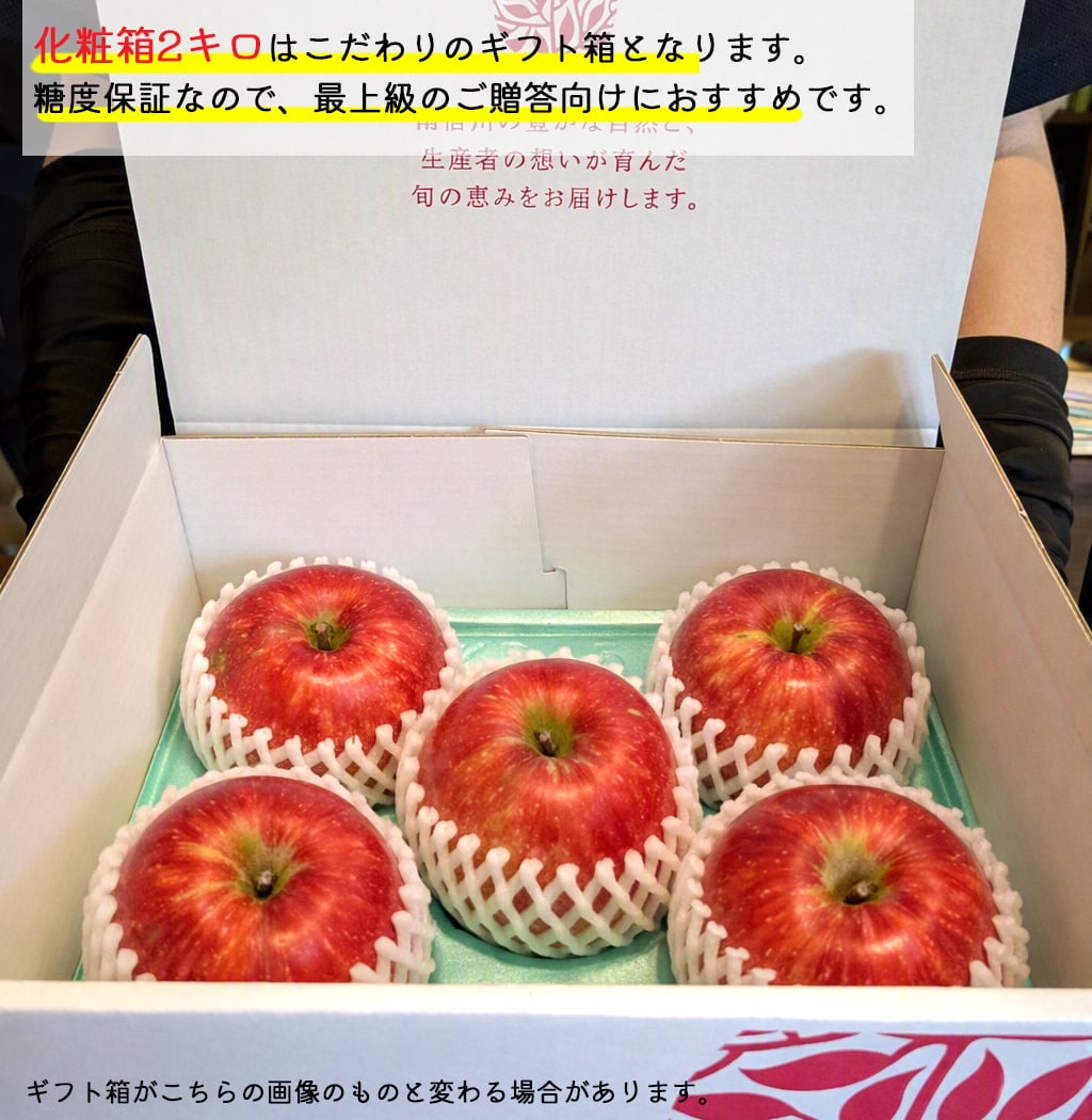 13度糖度保証 長野県産りんご シナノスイート プレミアム 贈答用 果物 フルーツ お取り寄せ 産地直送 【送料無料(一部地域除く)】