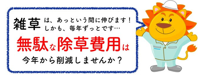 ザバーン 136G 標準防草シート 1m×50m +敷設用J字型ピン250本 50平米分 品番 XA-136G1.0 厚み0.4mm 耐用年数 砂利下：半永久 曝露：約3～5年　砂利下 人工芝下におすすめ 高耐久 テープ 別売り 雑草対策 除草コスト削減 デュポン社製