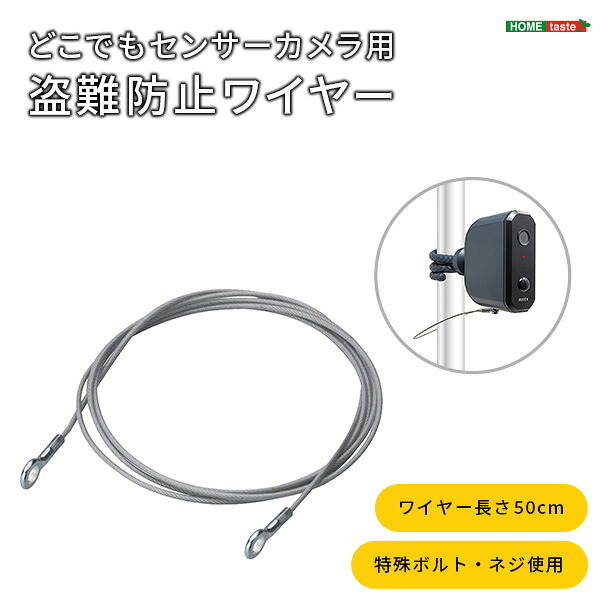 ガーデン エクステリア 乾電池式どこでもセンサーカメラ用 盗難防止ワイヤー 新生活