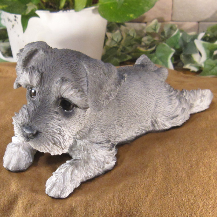 犬　置物 リアル　シュナウザー　伏せ　いぬ　動物オブジェ　ガーデン　オーナメント　店舗　カウンター　装飾　オブジェ　インテリア　玄関先　庭　犬好きさん人気ギフト　動物人気ギフト　クリスマスプレゼント　お誕生日祝い　母の日人気　父の日人気　敬老の日人気