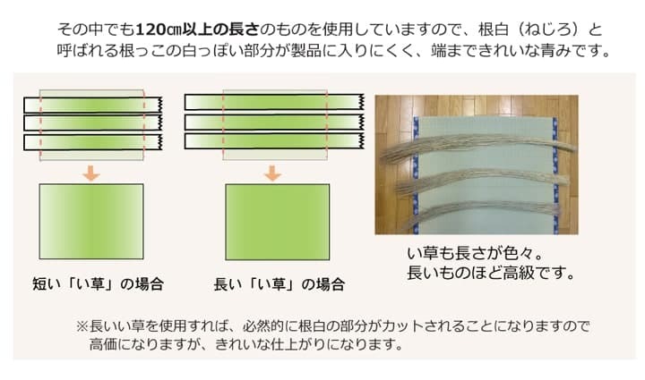夏ラグ 夏用カーペット 純国産 い草 上敷き カーペット 糸引織 『梅花』 江戸間2畳(約176×176cm）