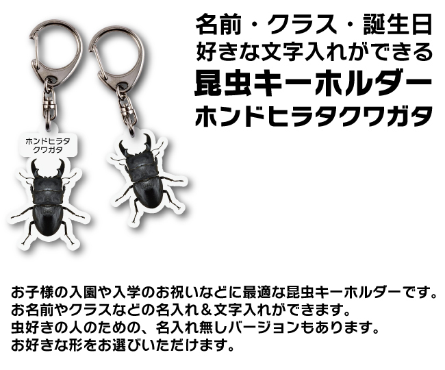 ゆうパケット発送 名入れ文字入れOK 昆虫キーホルダー ホンドヒラタクワガタ 名入れ お酒 ギフト プレゼント 誕生日 結婚祝い 結婚記念日 出産祝い 還暦祝い 男性 女性 父の日 敬老の日 ＊他の商品はこちら→
