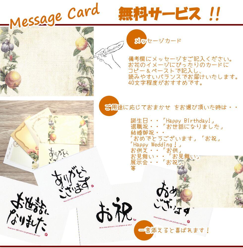 プリザーブドフラワーのアレンジメント 【Osonae Yurari】 黒い陶器の器に枯れない花を飾りお届け致します　プリザーブドフラワー お供え花 アレンジメント 菊 マム 花 お供え 仏壇 フラワーアレンジメント 仏花 プリザーブド 供花 お悔やみ 陶器 プリザ お供花 プリザーブドフラワーのお供え花 AOK p s お花