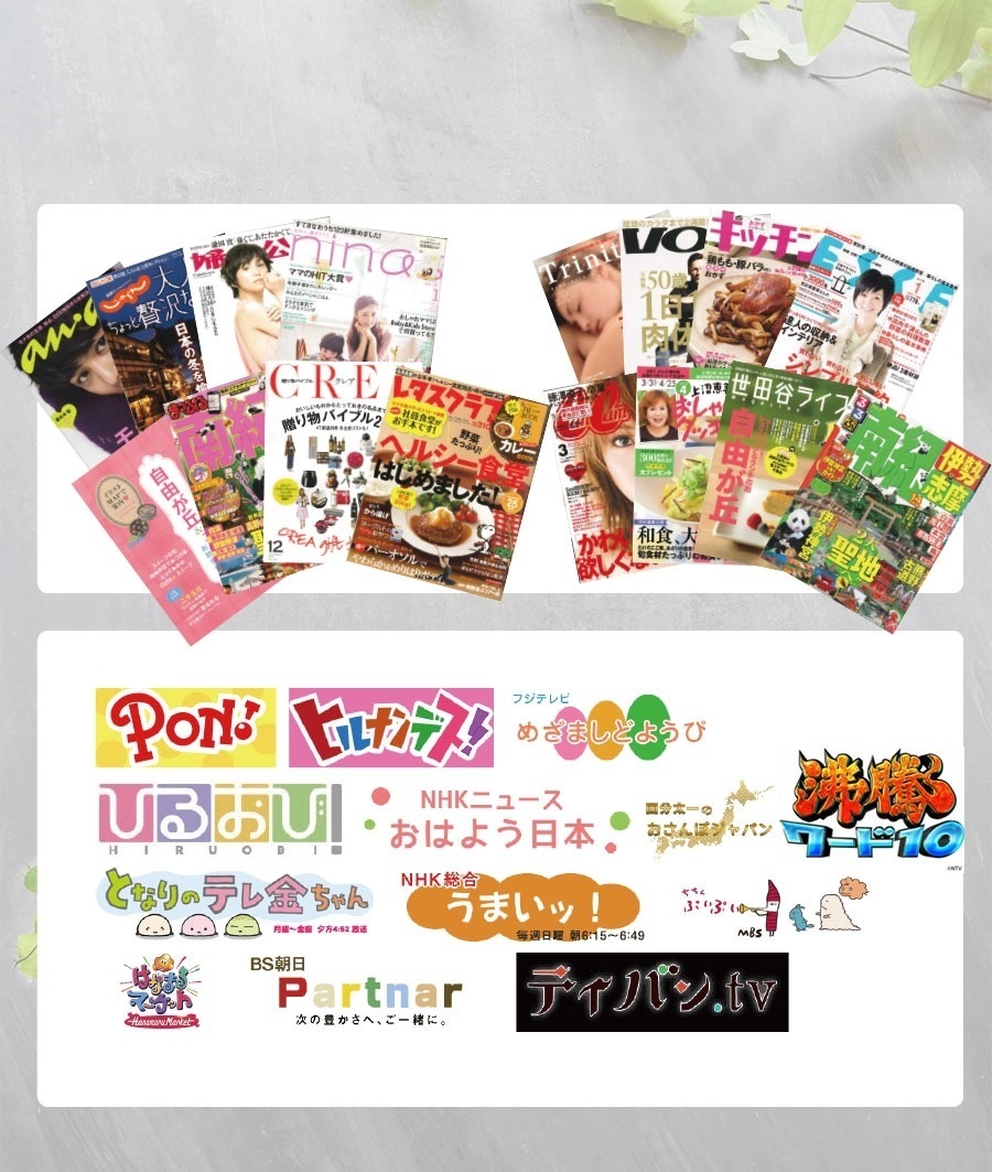【特選紀州南高梅】【しそ漬梅250g×2パック（塩分約20％）】【無添加】しそと塩のみで漬けた昔ながらの梅干し つけもの 梅干し ギフト プレゼント 内祝