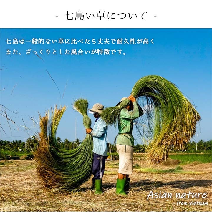 草履 紳士用 男性用 メンズ 箱付七島い草 ベトナム製 ギフト シンプル L(適応サイズ24.5～26cm)