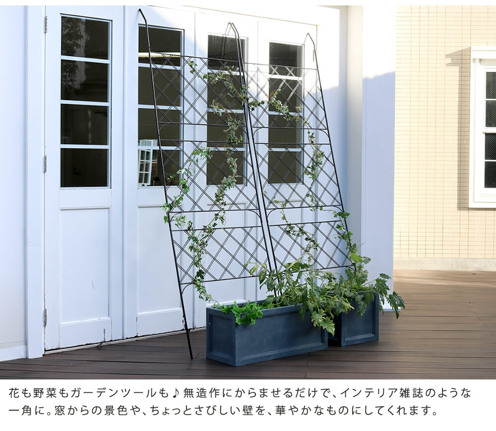 アイアンフェンス アイアン製グリーン アーガイル フェンス アイアン グリーンフェンス ゴーヤ 薔薇 バラ 朝顔 庭 ベランダ ガーデニング 枠 柵 仕切り 目隠し 境目 アンティーク トレリス 園芸 ラティス 屋外 ガーデンフェンス 目隠しフェンス 新生活
