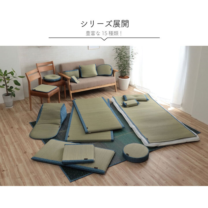 枕 まくら い草 消臭 ごろ寝 抗菌防臭 シンプル 小林製薬コバガード使用 約50×30cm 抗菌防臭で清潔な い草まくら ピロー 枕寝具 寝具用品 寝室用 寝室用品 インテリア ポリプロピレン オレンジ グリーン ブラウン ブルー