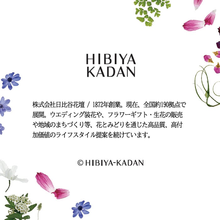 若狭塗 夫婦箸 ハンナリ花日和 小付皿揃え 彩香 ペア ペア箸 日比谷花壇 コラボ 結婚祝 木箱入 食洗機対応  敬老の日 母の日 父の日 プレゼント 実用的 古希 喜寿 ギフト 誕生日 ブランド おしゃれ 退職祝い お餞別 お祝い はし 日本製