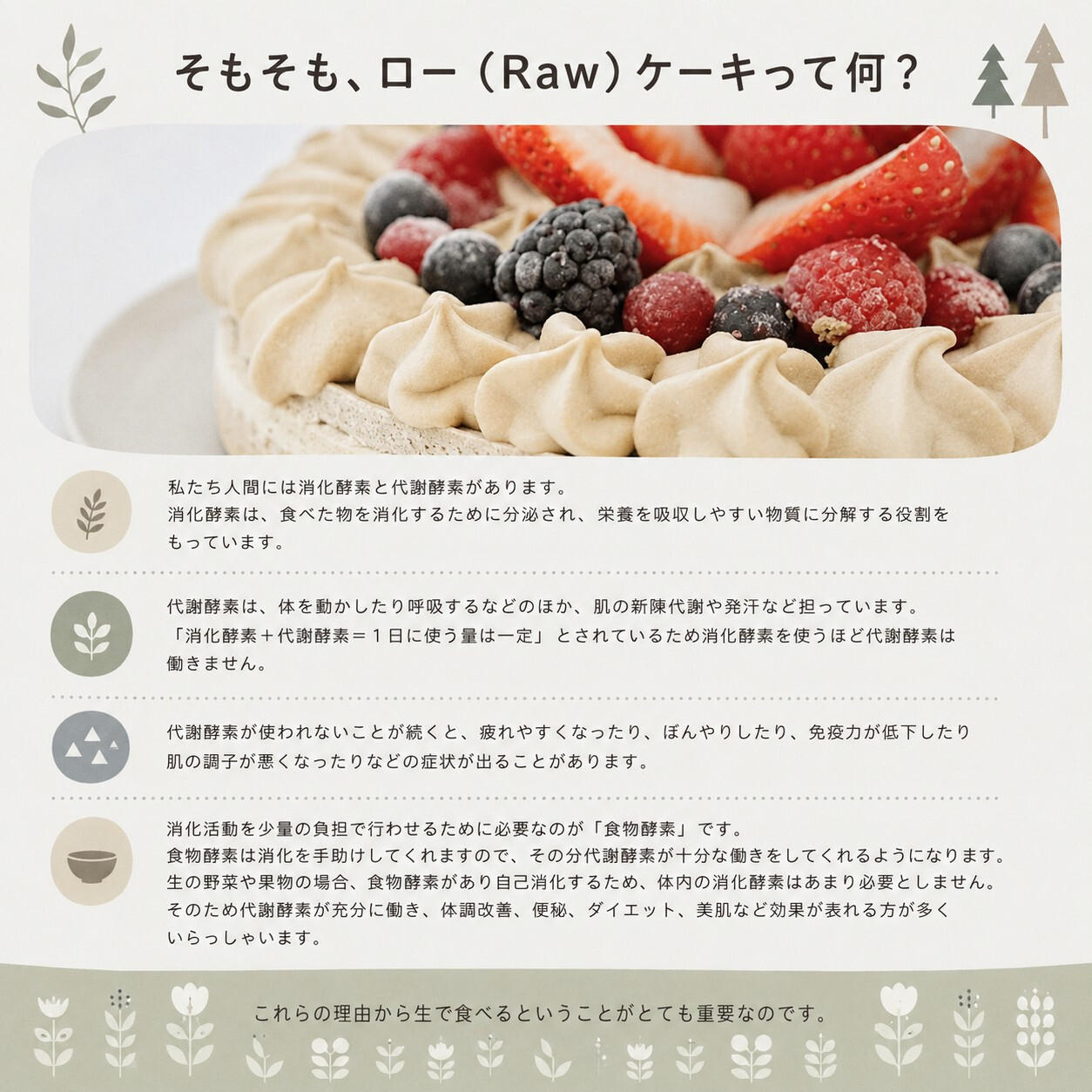 グルテンフリー・ヴィーガン 米粉クッキー＆RAWクリーム 6個セット ギフト