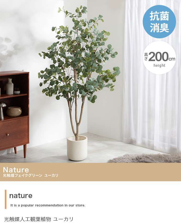 【高さ200cm】光触媒人工観葉植物 ユーカリ 幅70cm×奥行60cm×高さ200cm オフィス 天然木 ポリエステル 組立品 お部屋に気軽に飾れて空間を美しく彩るフェイクグリーン 本物の植物のようなリアルな質感とインテリアに馴染む風合いが魅力です