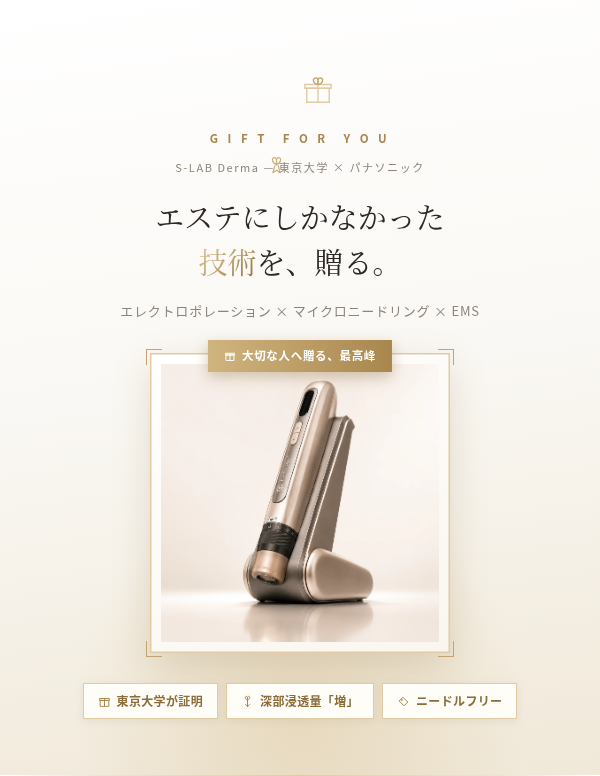 多機能ダーマペン S-LAB Derma｜マイクロニードリング エレクトロポレーション EMS 4役 ニキビ跡 毛穴 小ジワ 美肌 コラーゲン 肌再生 美容家電 自宅エステ クリニック級 30代 誕生日プレゼント 彼女 妻 記念日 クリスマス ギフト 結婚記念日 サプライズ 喜ばれる 女性へ 20代 30代 40代 贈り物 高級 プチ贅沢 特別な日 もらって嬉しい