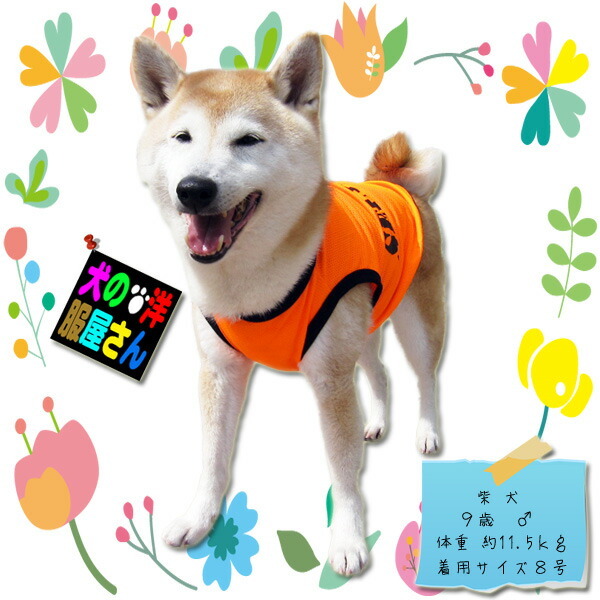 犬服 メッシュタンクトップ SECURITY セキュリティ スタイルN ( 大型犬用 )  ゴールデンレトリバー ラブラドールレトリバー