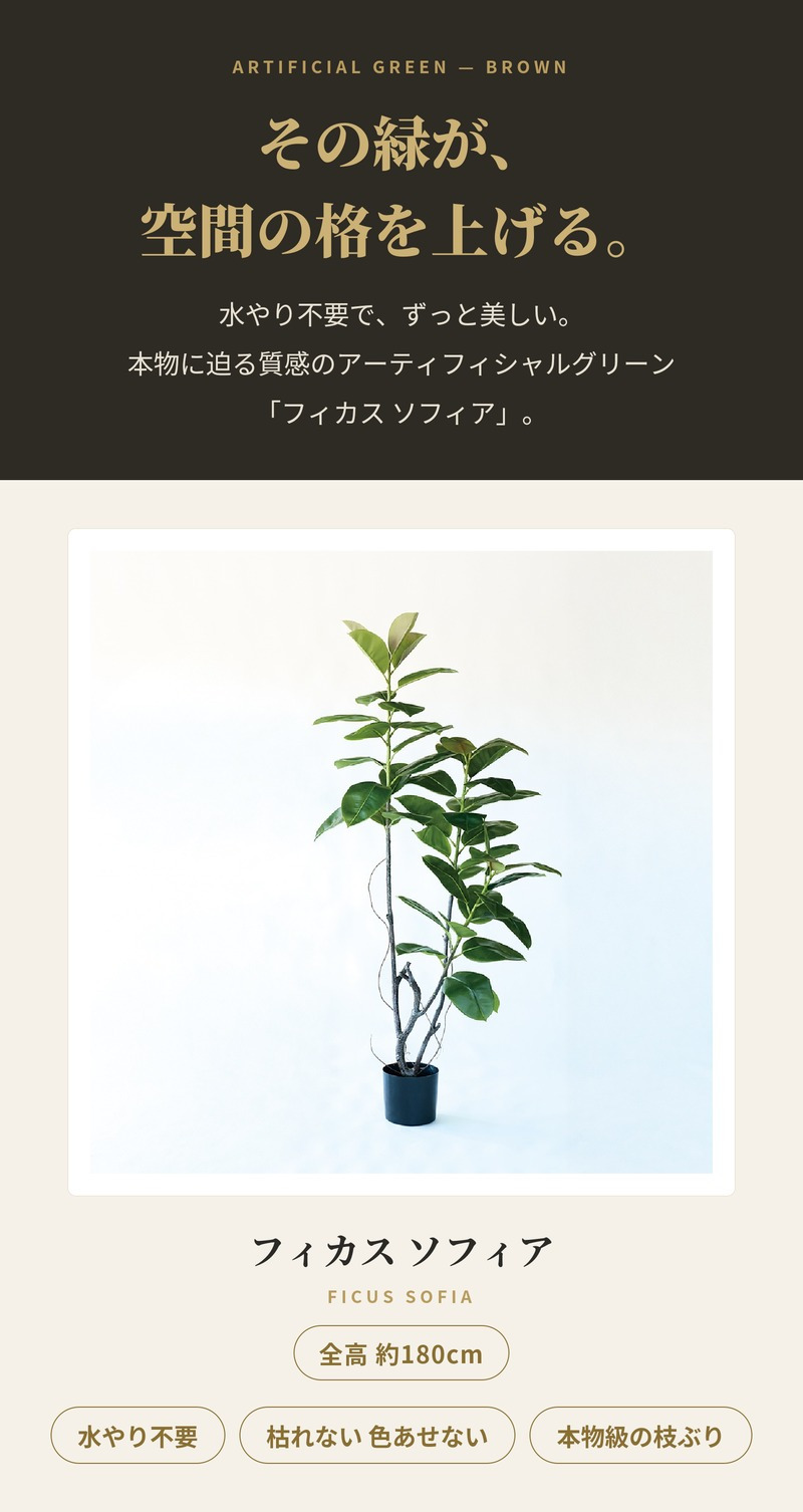 観葉植物 造花 フィカス ソフィア BROWN 全高約180cm 大型 フェイクグリーン 高級 本物そっくり リアル おしゃれ ナチュラル インテリア 人工観葉植物 アーティフィシャルグリーン オフィス 店舗 ホテル 開店祝い 室内 リビング 玄関 風水 ゴムの木