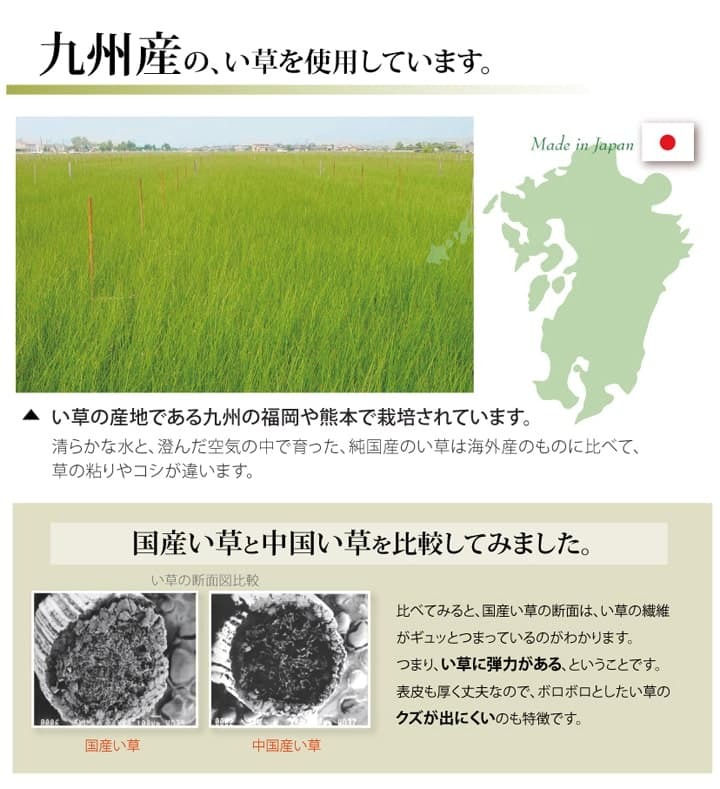 夏ラグ 夏用カーペット 純国産 い草 上敷き カーペット 糸引織 『湯沢』 江戸間3畳(約176×261cm）