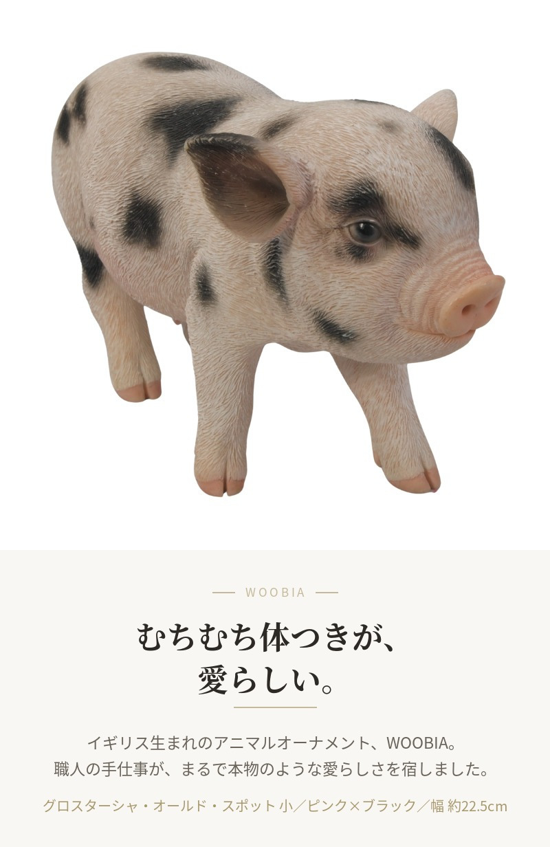 置物 豚 グロスターオールドスポット 幅22.5cm woobia ウービア ぶた リアル かわいい おしゃれ 玄関 インテリア オブジェ ガーデン ミニブタ 動物 アニマル 癒し 棚 個性的 プレゼント ギフト 面白い 新築祝い