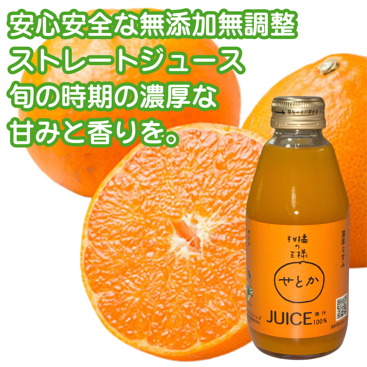 3種類の柑橘ストレートジュース（みかん・せとか・河内晩柑）200ml ギフト箱 愛媛県産【贅沢な果汁100％】送料無料