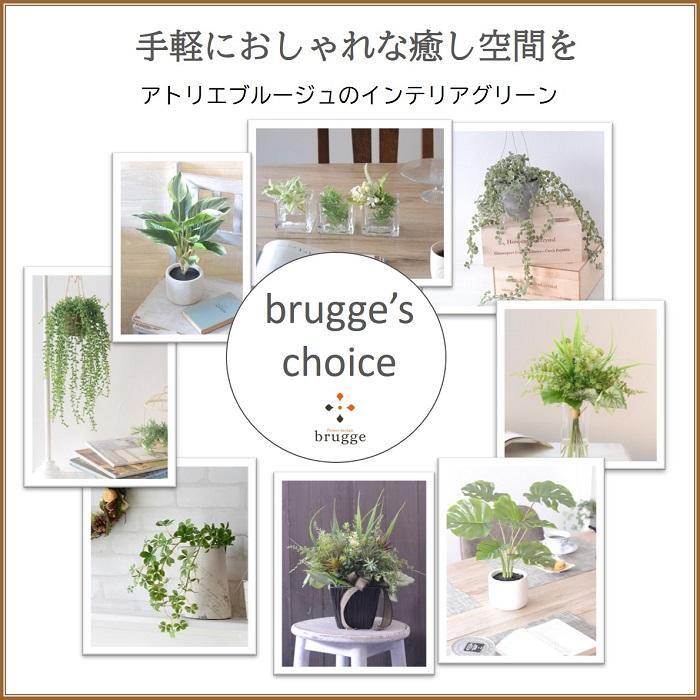 【送料無料】 飾るだけでお洒落な空間に【造花・光触媒】光触媒がお部屋の気になる臭いを脱臭 フェイクグリーンで癒しの空間　 造花 観葉植物  スパニッシュモス壁掛け 光触媒でニオイを分解！