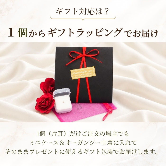 【日本製・鑑別書つき】天然ダイヤモンド 一粒 0.03 セカンドピアス ピアス PT900 プラチナ 軸太0.65mm 軸長10mm 金属アレルギー対応 レディース メンズ ダブルロックキャッチ 地金【全品1個ずつバラ売り】 プレゼント