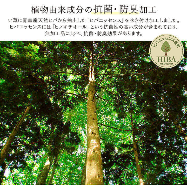 夏ラグ 夏用カーペット ラグ い草 国産 純国産 日本製 シンプル 無地風 抗菌防臭 自然素材 ウレタン 約140×200cm