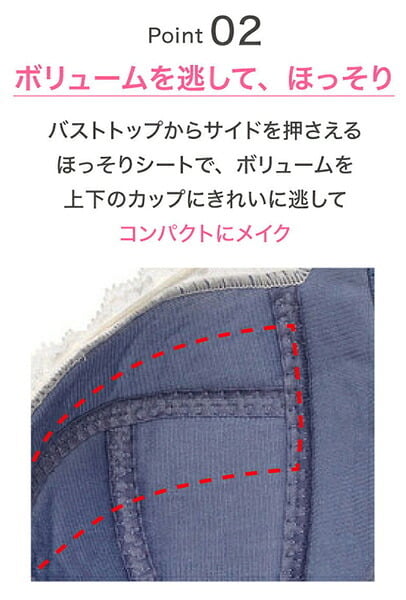 ワコール 小さく見せるブラ ブラジャー BRB453 3/4カップワイヤー GHカップ レーシィタイプ【セール】