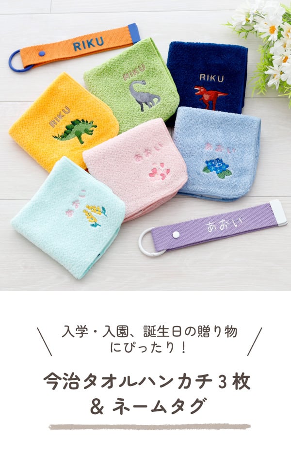 ハンカチ タオルハンカチ ネームタグ 名入れ 子供 刺繍 今治 ギフト セット プレゼント オリジナル 名前入り 女の子 男の子 恐竜 植物 花 入学 入園 保育園 小学校 学校 通学 通園 綿100% 3枚セット ラッピング 当日出荷
