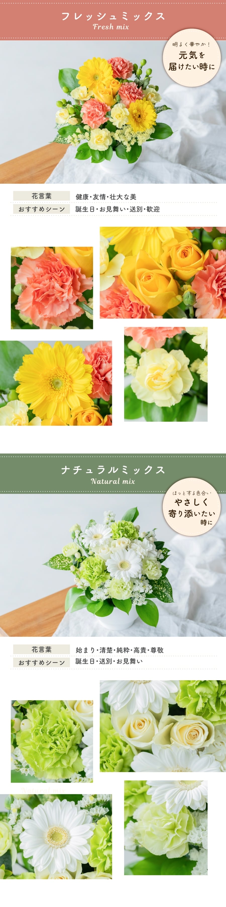 カラフルガーデン アレンジメントS  生花 花市場から直送 お祝い 誕生日 記念日