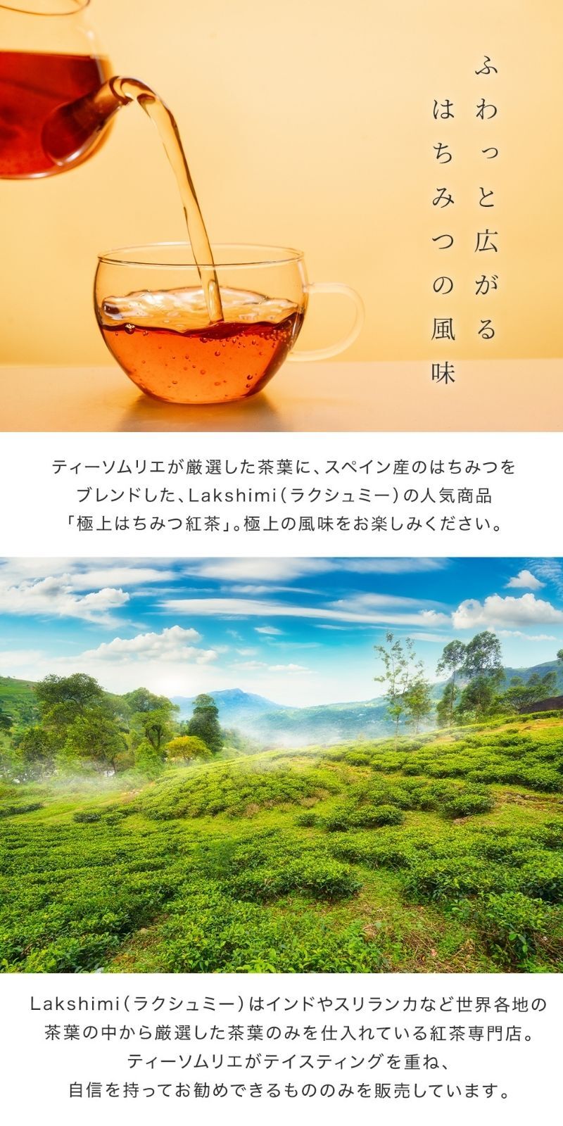 【3個セット】 ラクシュミー Lakshimi 極上 はちみつ紅茶 25袋入り×3個セット はちみつ紅茶 蜂蜜紅茶 ティーバッグ ギフト おしゃれ 紅茶専門店Lakshimi お茶 紅茶 スペイン ギフト プレゼント 女性 彼女 奥さん 妻 同僚 内祝い 引き出物 お中元 お歳暮 手土産 御礼 友だち 自分用 両親 上司 取引先 ギフト