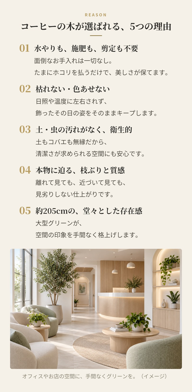 観葉植物 造花 コーヒーの木 BROWN 全高約205cm 大型 フェイクグリーン 高級 本物そっくり リアル おしゃれ インテリア 人工観葉植物 アーティフィシャルグリーン カフェ オフィス 店舗 ホテル 開店祝い 室内 リビング 玄関 風水 コーヒーノキ