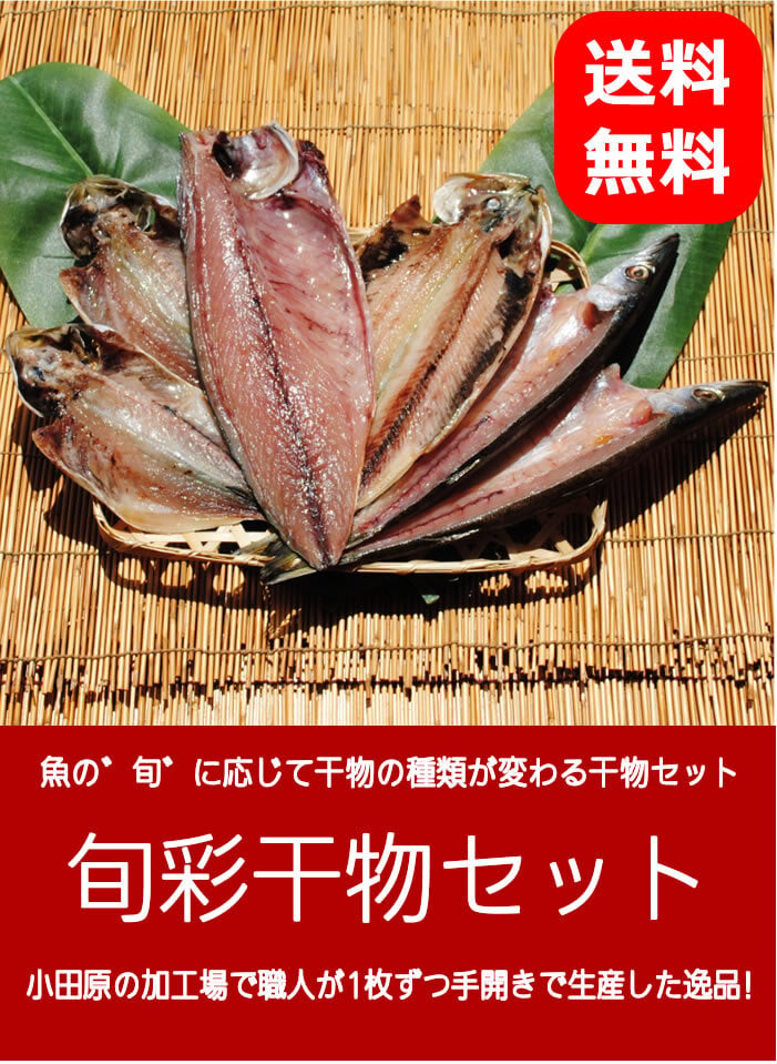 お取り寄せ 海鮮 グルメ ギフト プレゼント 旬彩干物セット【国産】 サバ 産地直送 こだわり 食品 手作り 詰め合わせ 誕生日 小田原 美味しい 訳あり 福袋 魚 1位 通販 バーベキュー 送料無料※一部地域のぞく
