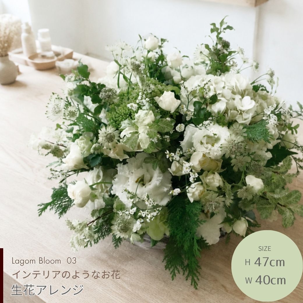 【Lagom Bloom 03】生花のアレンジメント インテリアのようなお花 新築のお祝いや開店のお祝いなど空間のインテリアのように飾ることができるお祝い花です 送料無料 生花 アレンジメント 誕生日 花 ギフト 送料無料 お礼 白 生花 お祝いアレンジメント 日頃の感謝 御祝 記念日 開店御祝い 自宅用 お供え フラワーギフト 展示会 楽屋花 受付 おしゃれ 母の日 敬老の日 お中元 お歳暮