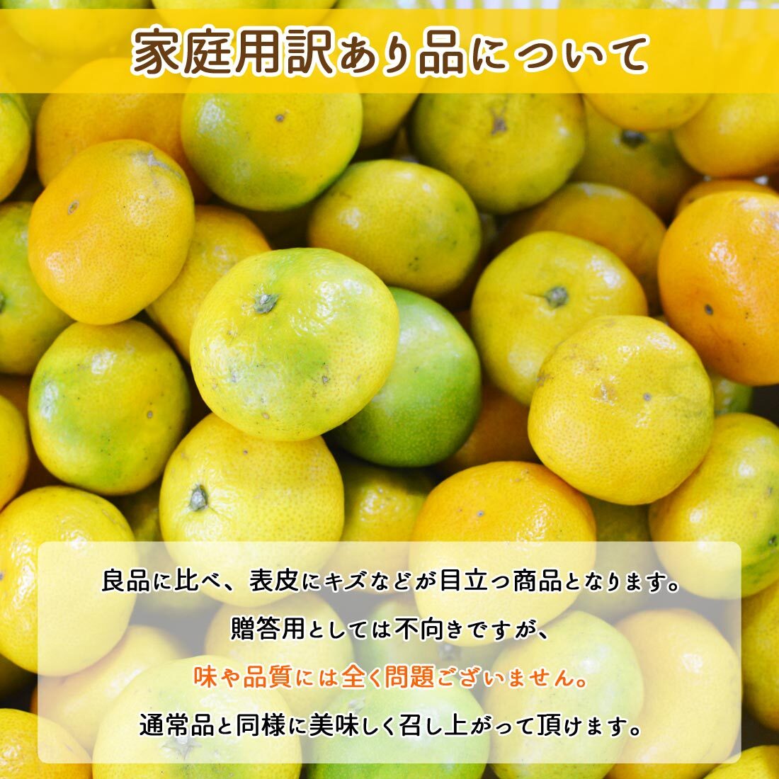 みかん 山北みかん くだもの畑 家庭用訳あり B品 高知産 約5kg 蜜柑 温州みかん 露地 小玉 小粒 中玉 大玉 果物 旬 ミカン 家庭用 甘くておいしい 高知県産 産地直送 産直 農家さんの手詰めミカン やみつきになる山北みかん【送料無料】